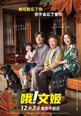 王的女人
